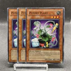 遊戯王 パペットプラント ノーマル 3枚 3 - メルカリ