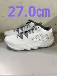 Item thumbnail for item 6d8ff3ae-a9e3-4f01-a3b1-4c3f35be5893