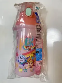 Item thumbnail for item 9f680a80-d81e-4d9d-a131-064671d80774