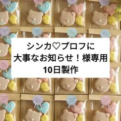 【シンカ♡プロフに大事なお知らせ！様専用】プチギフト