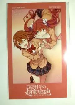 とある科学の超電磁砲T B2タペストリー 御坂美琴 白井黒子 公式本 有償