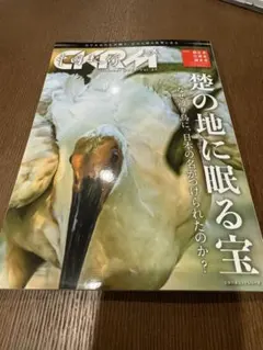 Item thumbnail for item 3f551bfb-a065-4469-88e1-bc2955b923cd