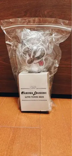 なにわ男子 BON BON VOYAGE うちわ ペンライト