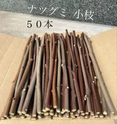 Item thumbnail for item d0d1177c-2182-4a85-af4a-8af6cf46fb55