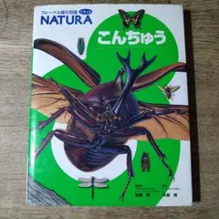 NATURA こんちゅう 昆虫図鑑
