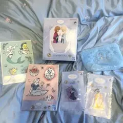 【値下げ】ディズニープリンセスアナ雪一番くじ　A賞フィギアC賞ポーチその他セット