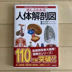【ぜんぶわかる 人体解剖図】 成美堂出版
