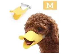 Item thumbnail for item 67bed0f6-5f28-4248-a0cd-a9e727276091