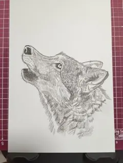 2026年最新】色鉛筆画 オオカミの人気アイテム - メルカリ