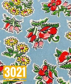 3021ビンテージコットン生地☆