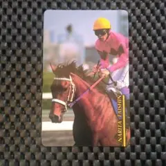 東ハト/まねき馬倶楽部】No.165トウカイテイオー 第36回産経大阪杯