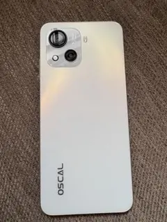 OSCAL C80 本体