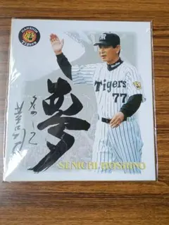 選手たちよくやった!　星野仙一　サイン本　初版 2026年最新】Yahoo!オークション -星野仙一サインの中古品・新品・未
