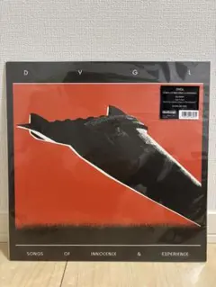 DYGL レコード(LP) Redeemコード付き