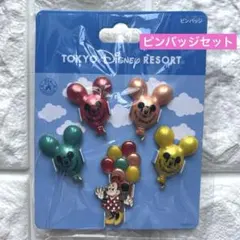 東京ディズニーリゾート　ミニーマウス、バルーン　ピンバッジセット