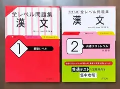 新品未使用 全レベル問題集 漢文1・2 (基礎・共テレベル) セット 大学入試
