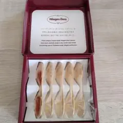 Häagen-Dazs オリジナルスプーン 5本セットのサムネイル