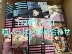 [120サイズ]箱いっぱい詰め合わせ
