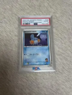 2026年最新】ミズゴロウ psa10の人気アイテム - メルカリ