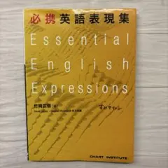 Essential English Expressions