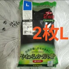 グンゼ　2枚　綿100%　ボクサー　パンツ　ブリーフ　Lサイズ　GUNZE　C