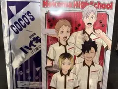 ハイキュー‼︎ココスコラボクリアファイル