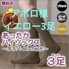 Item thumbnail for item b1400a93-7e3d-43f4-a7e3-e8431a61c534