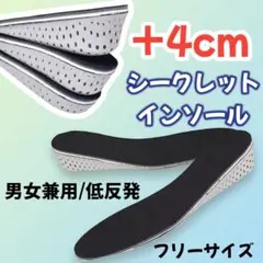 シークレット インソール 4cm 22.5〜27cm 中敷き 低反発 靴用品