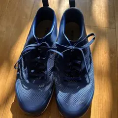 Item thumbnail for item 76d66d90-921f-40a2-aa75-537f43db336b