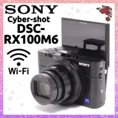 2026年最新】sony rx100vの人気アイテム - メルカリ