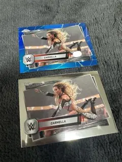 Item thumbnail for item d7dcea36-e044-40f4-914c-59d589a80a18