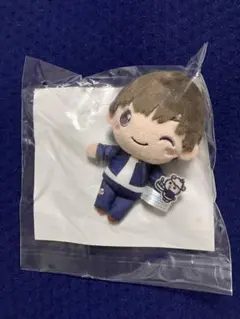 セガラッキーくじ呪術廻戦×サンリオ　D賞ぬいぐるみマスコット灰原×クリリン