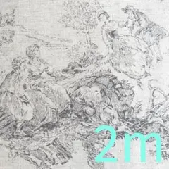 CABBAGES&ROSES×YUWA トワルドプレ　鶏柄　黒　麻シーチング