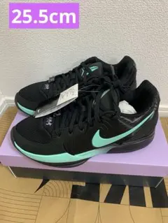 新品 25.5cm NikeJa 2 ティファニー