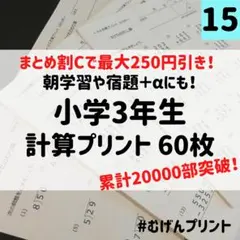 【Sunjing様 リクエスト 2点 まとめ商品】15.24.