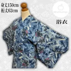 着用少ない！美品＊綿紬＊染め＊柳＆つばめ＊夏物＊着物＊浴衣