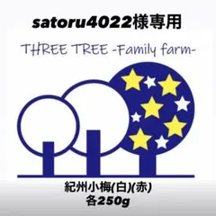 satoru4022様専用! 数量限定! 令和7年小梅(白)(赤)A級各250gのサムネイル