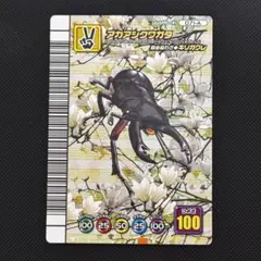 甲虫王者ムシキング 5周年 オオクワガタ(アダー)&スーパータツマキ