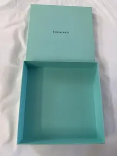 Tiffany & Co. 空箱 【4.5×20×20】