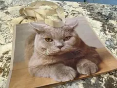 【 1回使用　希少】猫　ブリティッシュショートヘアー　ショッパー　エ