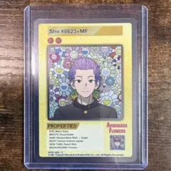 Akihabara Flowers Mr. #9703+MF Card - メルカリ