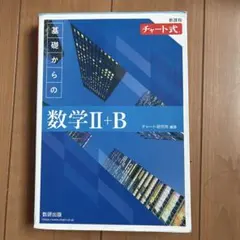 青チャート2+B(解答解説付き)