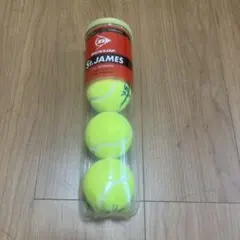 Item thumbnail for item 2c7601d1-5757-4697-93a3-25f84b06c9c4