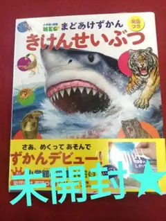☆ラスト1冊！きけんせいぶつ まどあけずかん