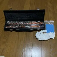 Item thumbnail for item 0570ef53-a26e-4506-8ddf-6a9241453fc4