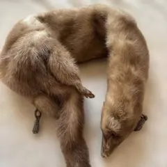 きつね　狐　マフラー　長期間保管　B級品　劣化あり