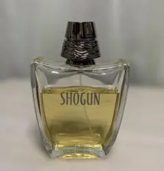 廃盤！まとめ売り✨ 正規品✨アランドロン ショーグン 30ml ×2本