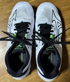 Item thumbnail for item 4127af58-2fb5-4118-820f-d1241026c00f