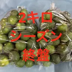 k*a様 ハウススダチ 家庭用 4キロ 入札式 - メルカリ
