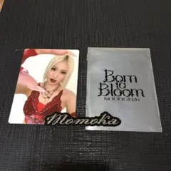 HANA Momoka ランダムフォトカード ステッカーセット